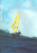 (French) Wind Surfer Olivier Auge